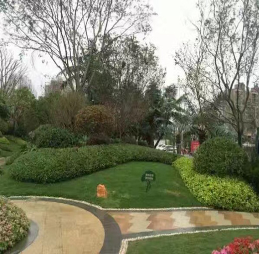 湖北綠怡草坪案例